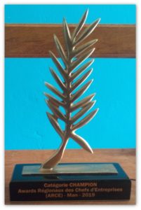Award-Shadow Award-Shadow